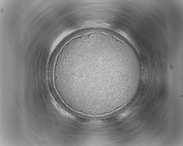 X0000055511094200508262134