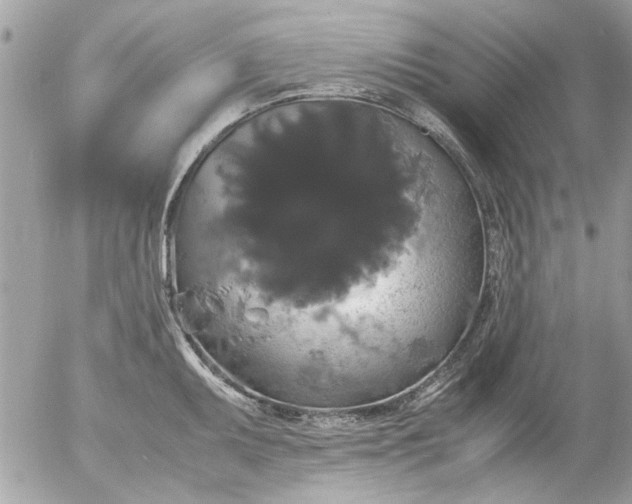 X0000055511095200508262134