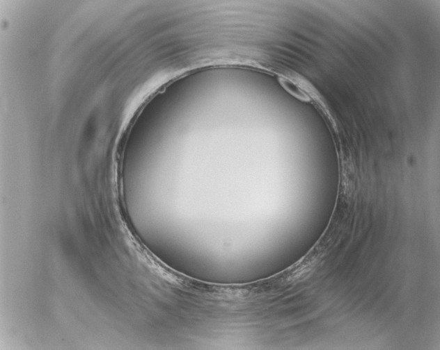 X0000055511096200508262134