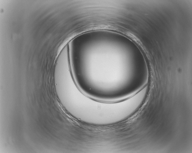 X0000055511097200508262134