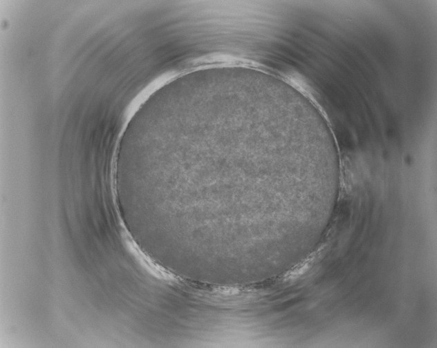 X0000055511098200508262134