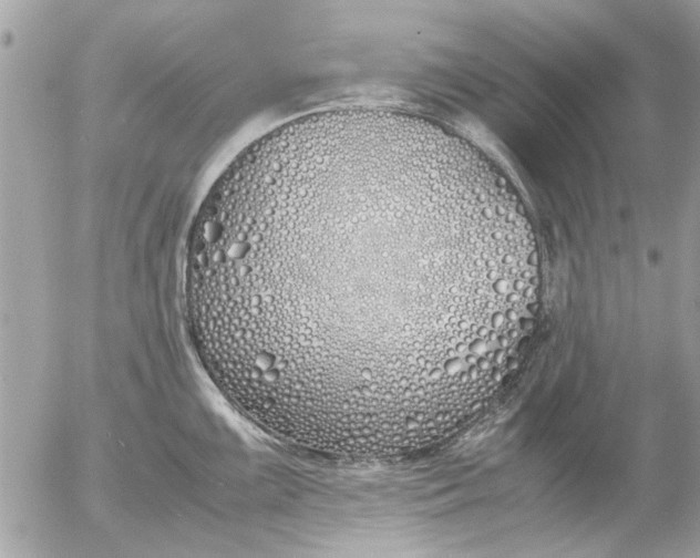 X0000055511099200508262134