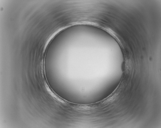 X0000055511100200508262134