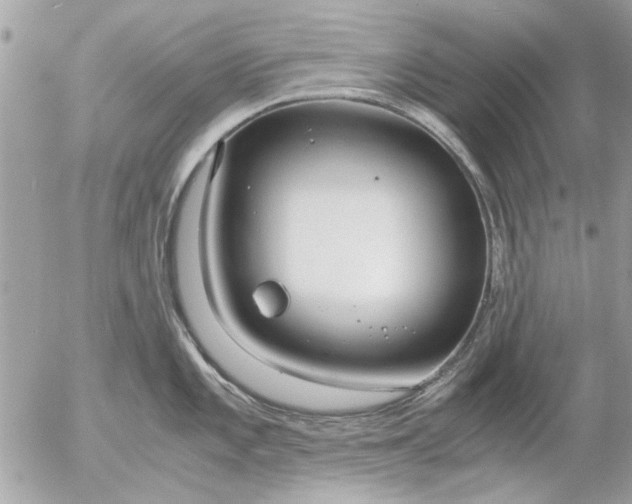 X0000055511101200508262134