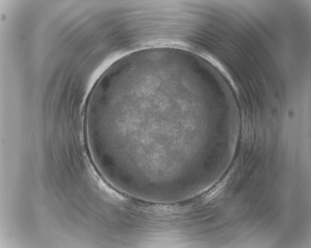 X0000055511102200508262134