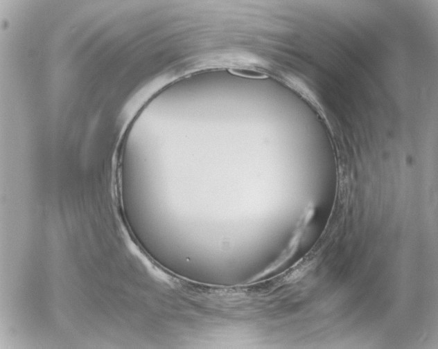 X0000055511103200508262134