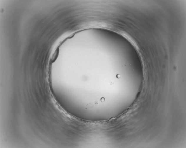 X0000055511104200508262134