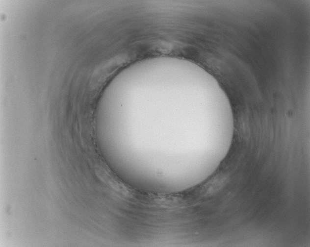 X0000055511105200508262133