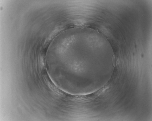 X0000055511106200508262133