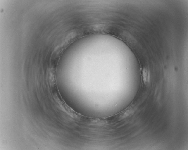 X0000055511107200508262133