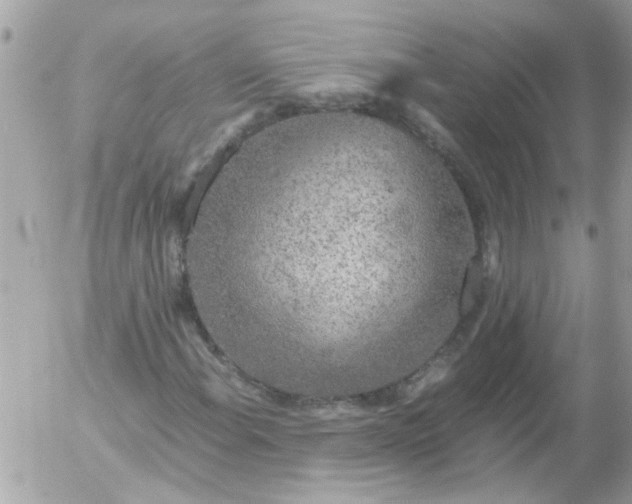 X0000055511108200508262133