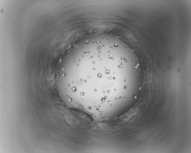 X0000055511109200508262133