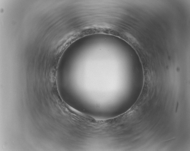 X0000055511110200508262133