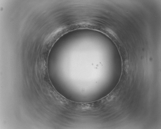 X0000055511111200508262133