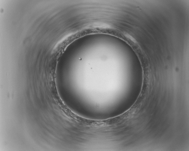 X0000055511112200508262133