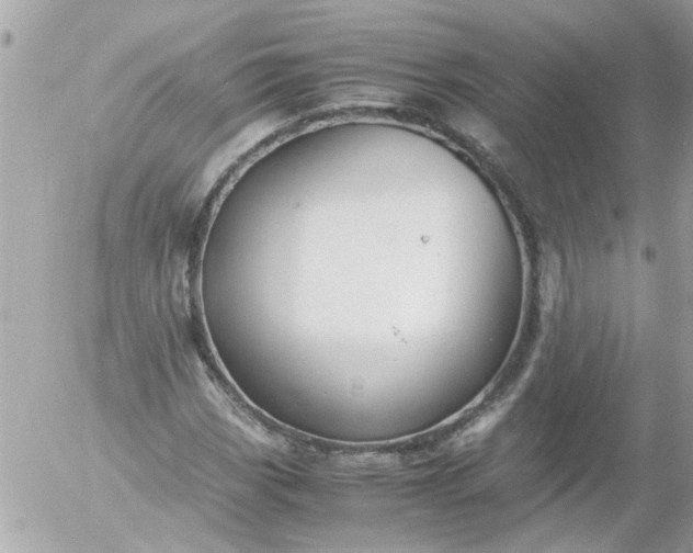 X0000055511113200508262133