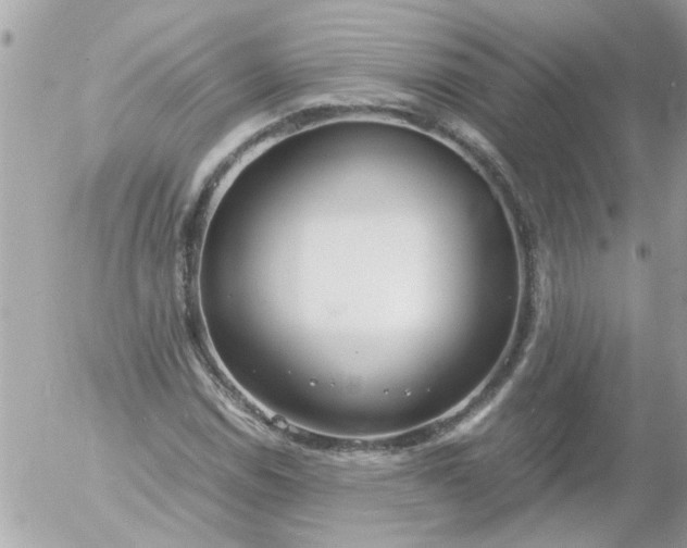 X0000055511114200508262133