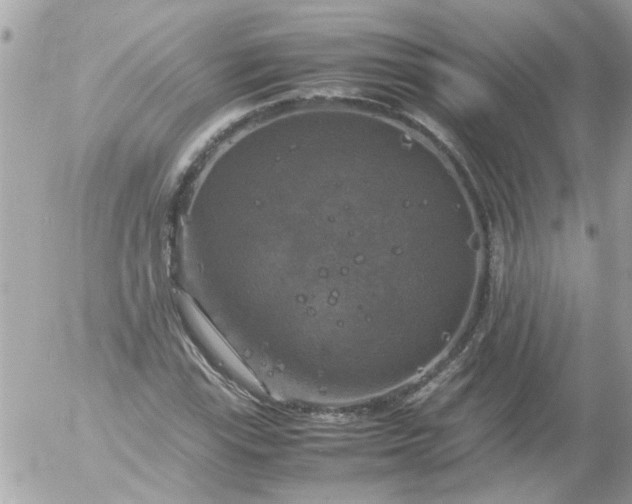 X0000055511115200508262133