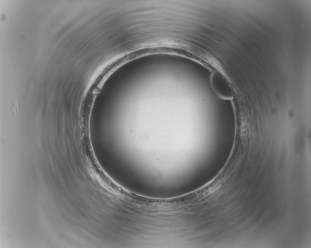 X0000055511116200508262133