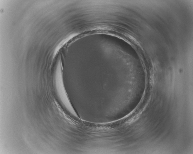 X0000055511117200508262133