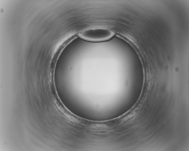 X0000055511119200508262133