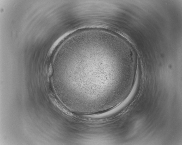 X0000055511120200508262133