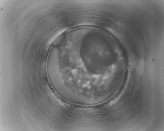 X0000055511121200508262133