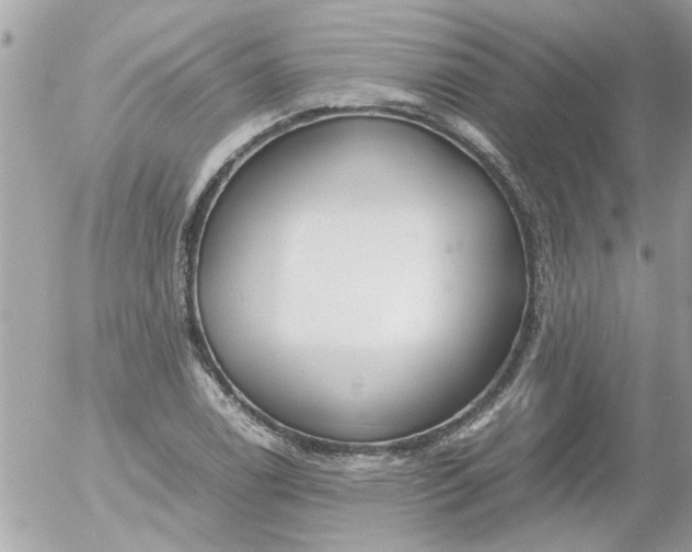 X0000055511122200508262133