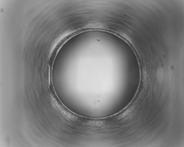 X0000055511123200508262133