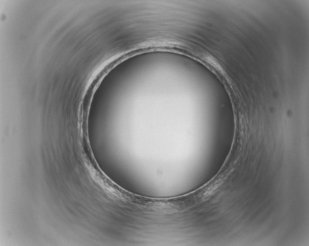 X0000055511124200508262133