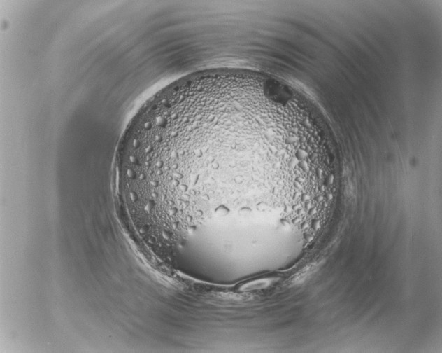 X0000055511125200508262133