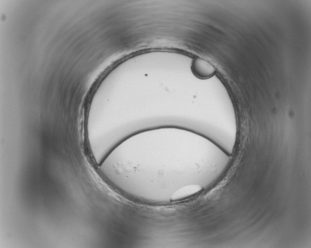 X0000055511126200508262133