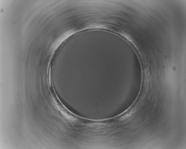 X0000055511127200508262133