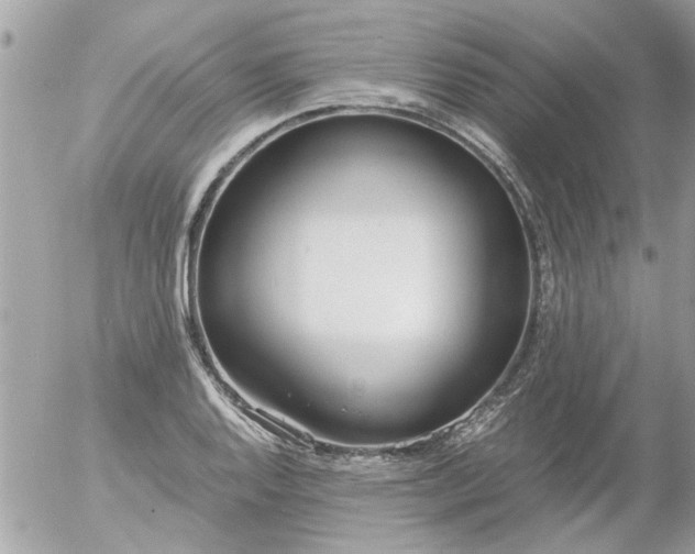 X0000055511128200508262133