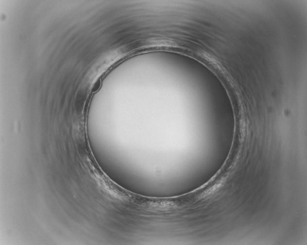 X0000055511129200508262133