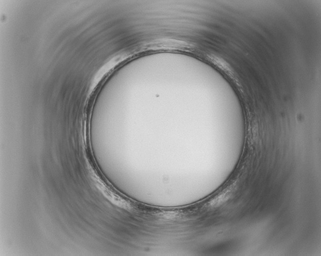 X0000055511130200508262133