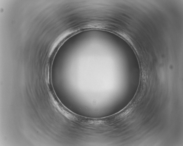 X0000055511131200508262133