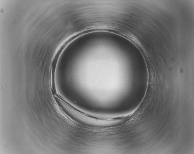 X0000055511132200508262133