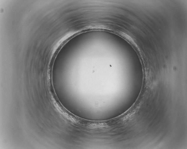 X0000055511133200508262133