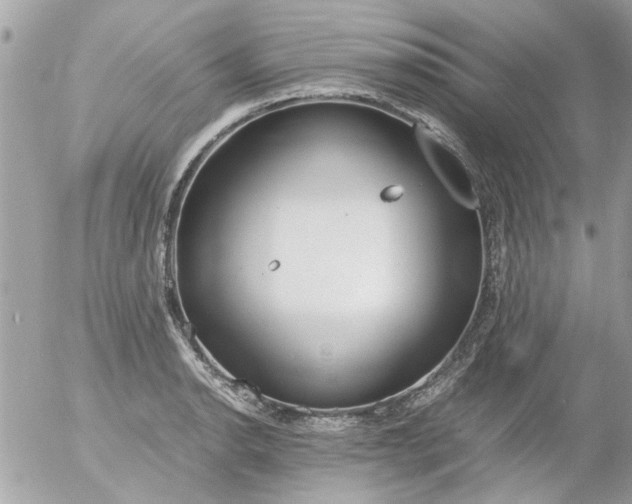 X0000055511134200508262133