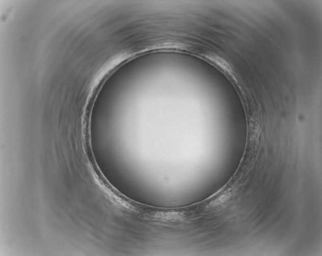 X0000055511135200508262133