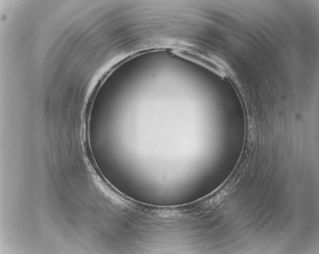 X0000055511136200508262133