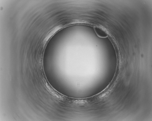 X0000055511137200508262133