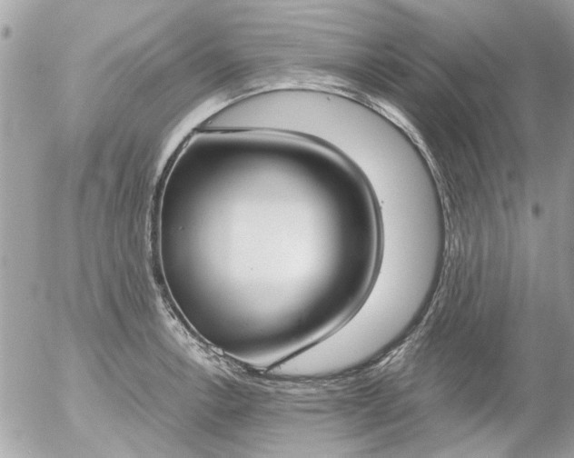 X0000055511138200508262133