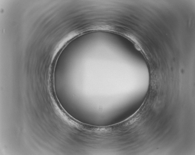 X0000055511139200508262133