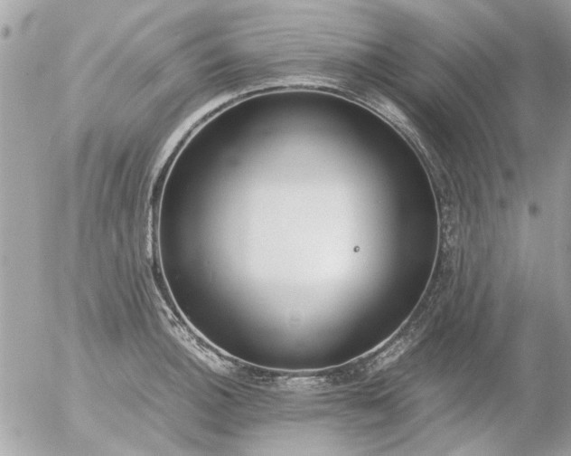 X0000055511140200508262133