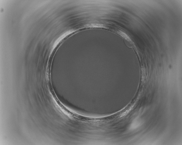 X0000055511141200508262133