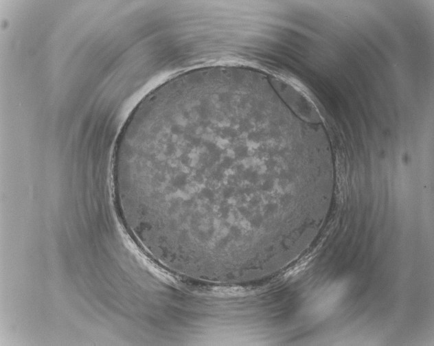 X0000055511142200508262134