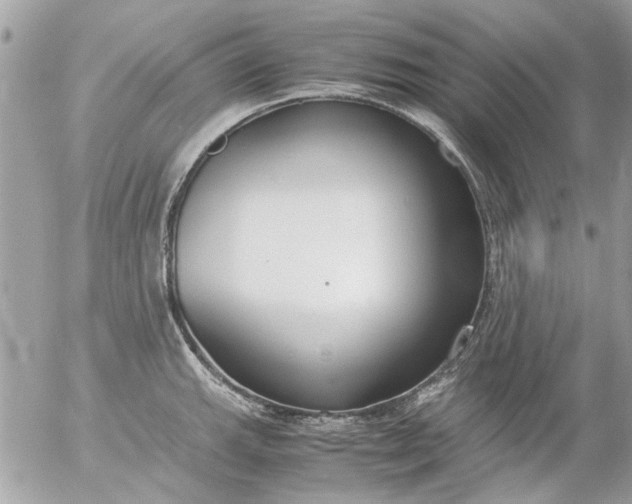 X0000055511143200508262134