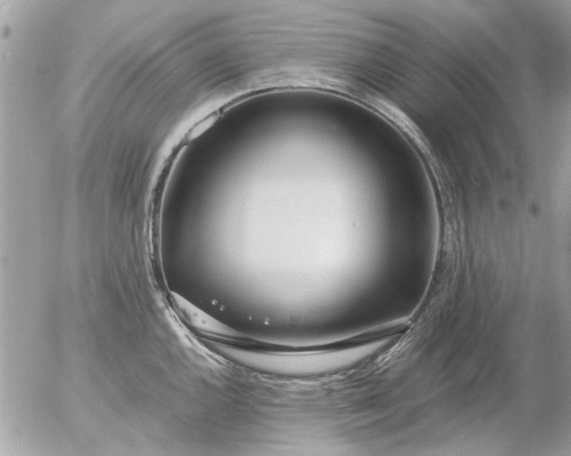 X0000055511144200508262134